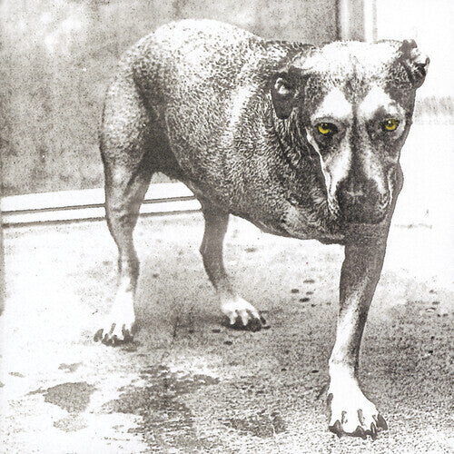Alice In Chains - S/T