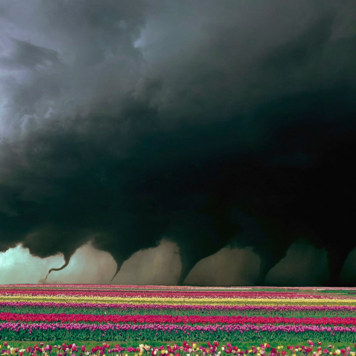 M.A.G.S. - Destroyer (LP Only)