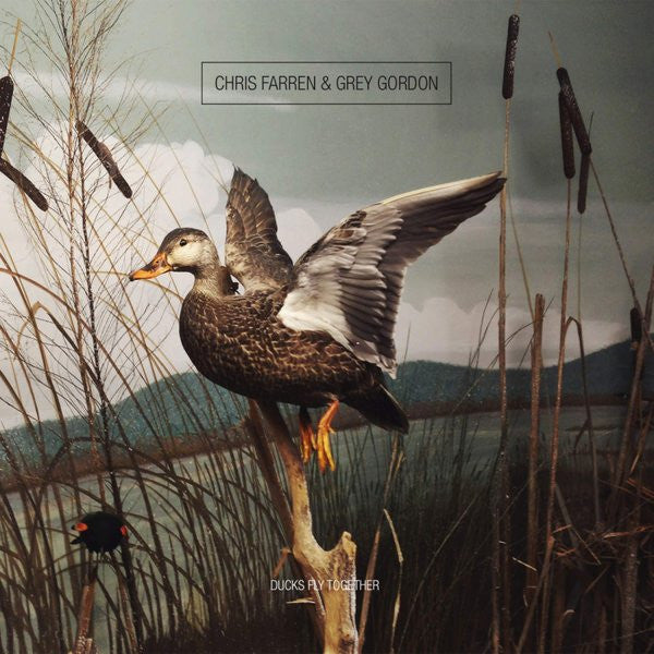 Grey Gordon, Chris Farren - Ducks Fly Together