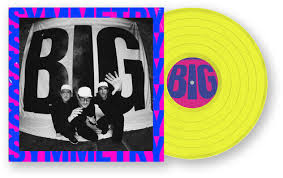 Pet Symmetry - Big Symmetry