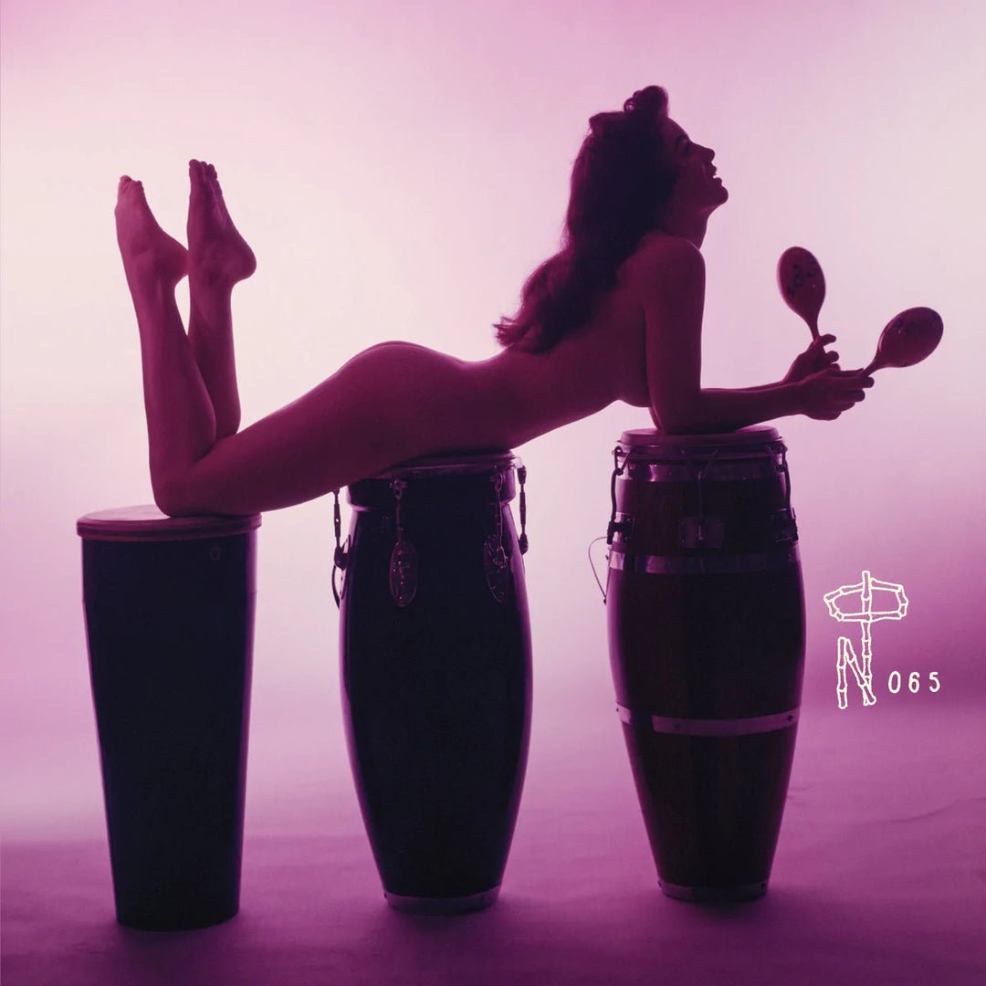V/A - Technicolor Paradise: Rhum Rhapsodies and Other Exotic Delights