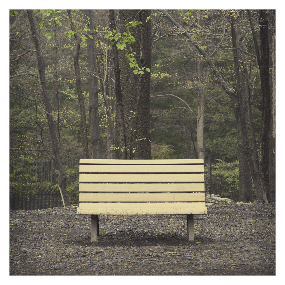 Streetlight Manifesto ‎– The Hands That Thieve