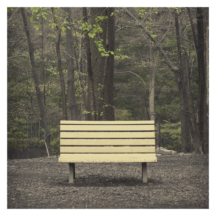 Streetlight Manifesto ‎– The Hands That Thieve